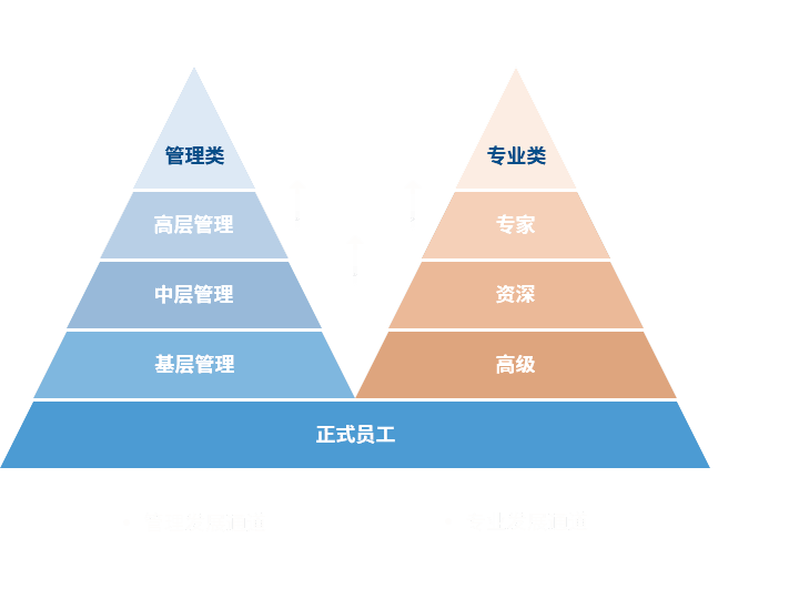 开云体育 